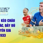Cách Đọc Kèo Châu Á Chính Xác, Đầy Đủ Từ Chuyên Gia Ku3933 MBA