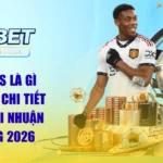 Kèo Aos Là Gì | Giải Mã Chi Tiết Kiếm Lợi Nhuận Khủng 2026