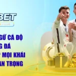 Thuật Ngữ Cá Độ Bóng Đá | Tìm Hiểu Nhanh Cùng Chuyên Gia KU3933 MBA