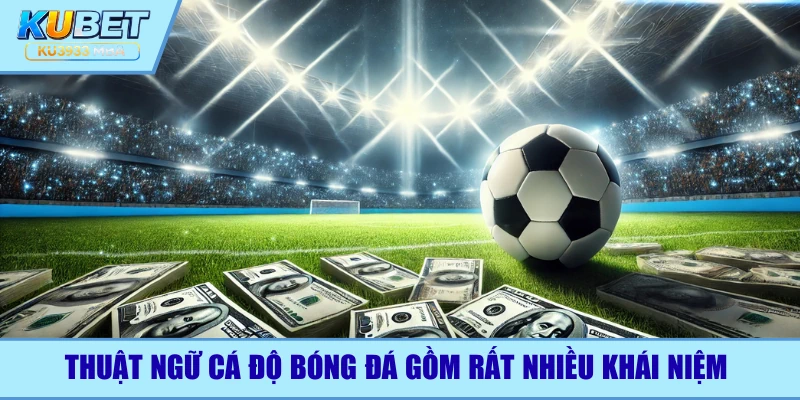 Thuật ngữ cá độ bóng đá gồm nhiều khái niệm khi cược