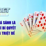 Thùng Phá Sảnh Là Gì? Bật Mí Bí Quyết Từ Ku3933 MBA